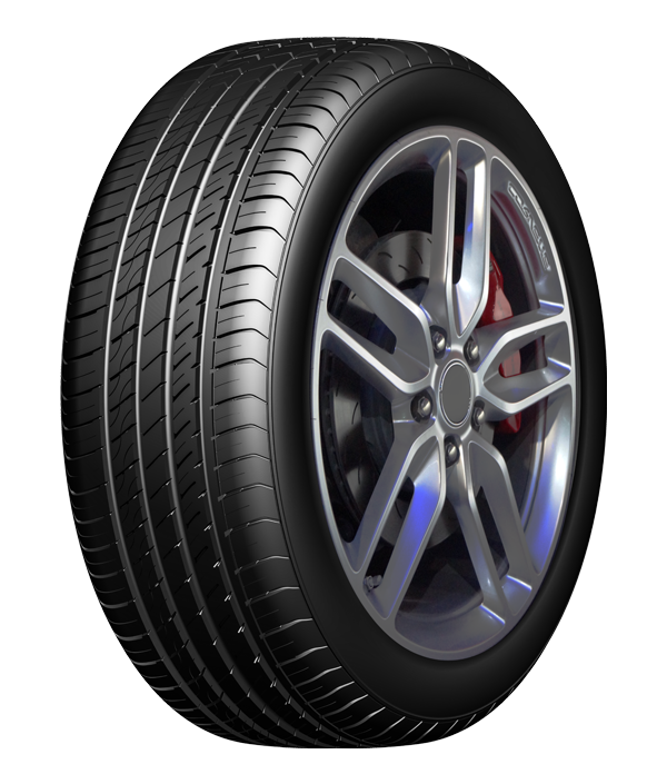 SPORTWAY 56
